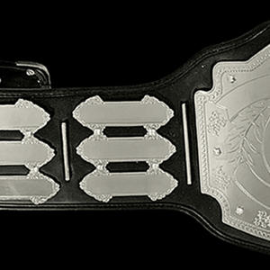 High-Quality Lightweight Championship Belts for <b>Wrestling</b> Custom Made Martial Training Wear Championship Belts - Product Image 6