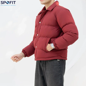 Chaquetas Acolchadas Unisex para Hombre 2025, Material de Poliéster de Alta Calidad, con Capucha, Estilo Urbano, Venta al por Mayor - Product Image 6