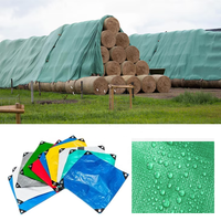 Bâche de construction imperméable en polyéthylène, résistante aux déchirures, pour matériaux de construction, échafaudages et couverture de chantier