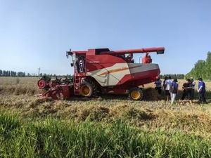 Pour 102 HP Riz Blé Maïs Moissonneuse-batteuse Machines Agricoles Utilisées avec Moteur pour Ail Technologie Allemande - Product Image 6