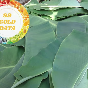 ใบกล้วยแช่แข็งคุณภาพสูงแบบเวียดนามทำความสะอาดและตัดแต่งอย่างถูกสุขลักษณะเหมาะสำหรับการห่อย่างและอาหารเอเชียของแท้ - Product Image 1