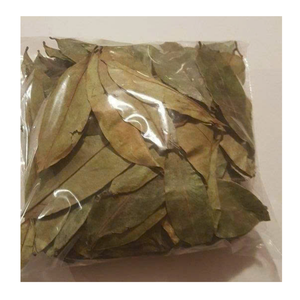 Hojas de Guanábana secas de Vietnam Premium Hojas de Guanábana secas utilizadas en la producción de la fábrica de té de Graviola - Product Image 5