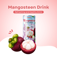 Groothandel 250Ml Private Label Tropisch Vruchtensap Drink Vietnam Toegevoegde Suiker Gratis Monster Andere Dranken Goedkope Prijs