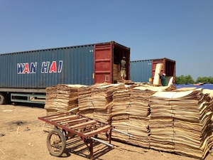 Chapa de Madera de Caucho 2026 en Venta - Chapa de Madera de Caucho Seca - Chapa de Caucho para Exportación de Madera Contrachapada al Mercado Chino - Product Image 5