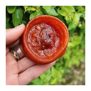 Kaki séché d'exportation de qualité supérieure du Vietnam, texture douce et naturellement douce, produit de marque privée OEM pour la vente au détail au supermarché - Product Image 1