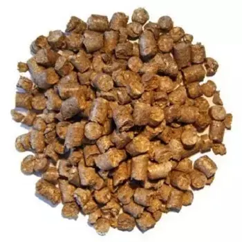 Beet pulp pellets are formed from dried sugar beet pulp for sale