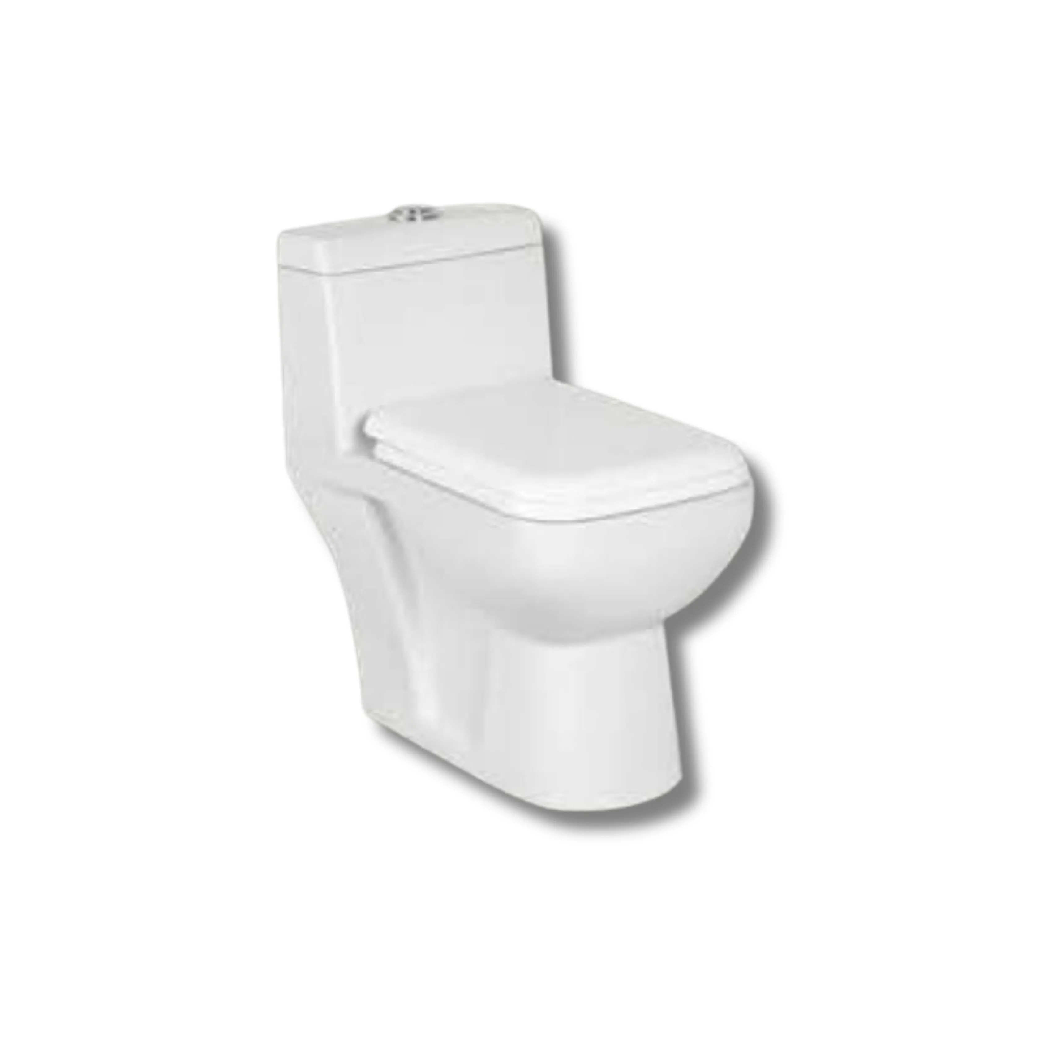 Eendelige Waterkast Rond Toilet Keramisch Geglazuurde Premium Vierkante Wc-Bril Ronde Wc-Bril Beste Dual Flush Zwaar Gewicht