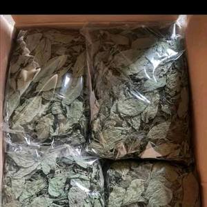 Feuilles de jute sèches du delta du Vietnam, poudre de feuilles de jute sèches, 4 oz, feuilles de molokhia de haute qualité, molokhia séchée ANGLE - Product Image 3