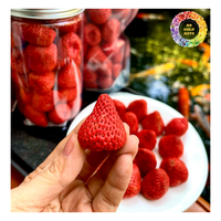 Groothandelsprijs 100% Gevriesdroogde Aardbei, Fd Gedroogd Heel Aardbeienfruit, Knapperige Gevriesdroogde Aardbeien Tegen Een Goedkope Prijs