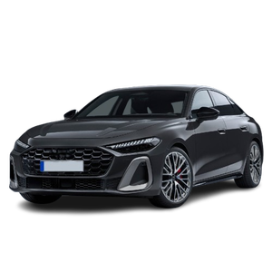 Hatchback sport 5 portes de luxe haut de gamme 2024 d'occasion, en excellent état, au prix d'usine - Product Image 5