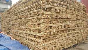 Artisanat en rotin naturel fait à la main écologique livraison rapide avec le meilleur prix matériau en rotin au Vietnam - Product Image 6