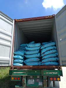 Tratamiento de Agua Coco Shell Ms Holiday - Product Image 4