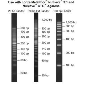 Lonza 150uL บันไดดีเอ็นเอ20bp ขวดห้องปฏิบัติการสำหรับการใช้งานใน150 - Product Image 2