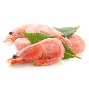 Camarones de Agua Fría de Alta Calidad, Frescos y Congelados, Proveedor Mayorista de Exportación de Mariscos Sostenibles - Product Image 5