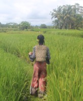 Asian Ethnic Clothing Products Are Produced in Bali Indonesia Customized Model or Design Are Acceptable Material Rayon or Cotton