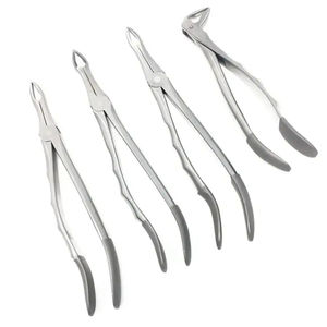 ZARNAB SURGICAL ZS-DF-003 Fórceps de Extracción Dental Manual Personalizados de Acero Inoxidable, Instrumentos Quirúrgicos Dentales de Alta Calidad, CE - Product Image 1