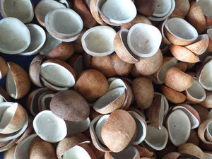 Farine de coprah de noix de coco séchée et coprah entier - Directement du fabricant - Product Image 2