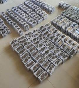 Extensions de cils Nhu Y NY9D professionnelles, mignonnes, en cheveux synthétiques, faites à la main, épaisseur 0,03-0,07 mm, plateaux de cils individuels, application facile - Product Image 5