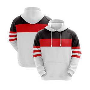 Sudaderas con capucha de algodón 100% pesado para hombre nueva moda invierno doble capa con logotipo bordado personalizado al por mayor - Product Image 1