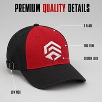 Gorra de Béisbol Personalizada de Dos Tonos, 6 Paneles, Bordada, de Algodón, con Cierre a Presión, para Equipos Juveniles, MOQ Bajo, Venta al Por Mayor