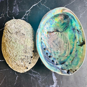 หอยเป๋าฮื้อธรรมชาติและประกายเปลือกหอย/สูตรครอบครัว/ราคาไม่แพง/ทำในเวียดนาม - Product Image 6