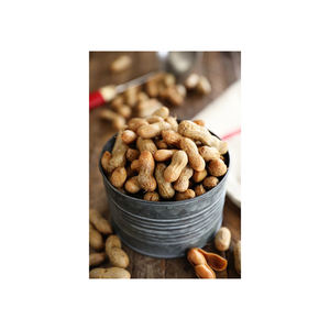 Cacahuètes jumbo biologiques de qualité supérieure graines de protéines hautement nutritionnelles séchées noyau d'arachide du Bénin brut de haute qualité à vendre - Product Image 5