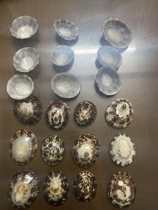 La decoración de concha de Lapa se roba el espectáculo: conchas naturales de Vietnam, fáciles de diseñar para fiestas de moda y regalos que iluminan las redes sociales - Product Image 5