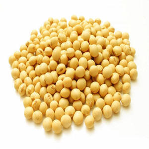 เมล็ดถั่วเหลืองสีเหลืองสดใหม่จากธรรมชาติ ปลอดจีเอ็มโอ - Product Image 2