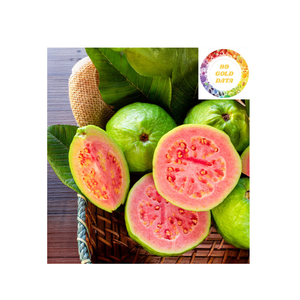 Disfruta de cada cucharada de guayaba congelada: dulzura pura y natural con un toque tropical - Product Image 1