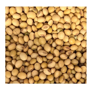 Best Grade Dried Soybean Bulk Packed - Product Image 6