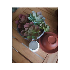 Doublure en feuille d'aluminium thermoscellée de haute qualité fabriquée au Vietnam pour couvercles et fermetures de bouteilles en PE - Product Image 3