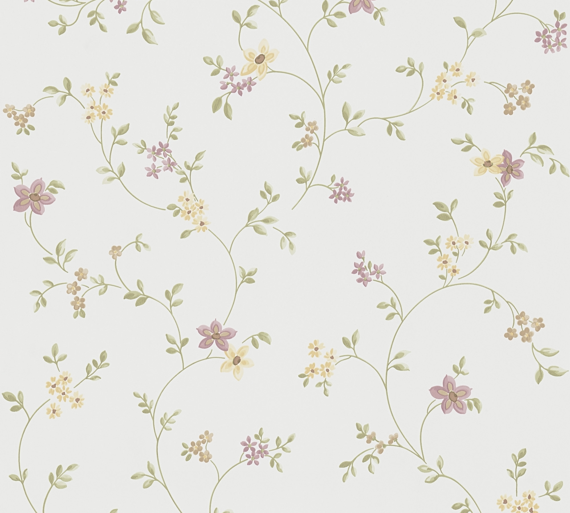 ขาว ชมพู เหลือง