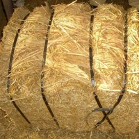 Arwin - Pacas de Paja de Trigo de Alta Calidad en Oferta, Pequeñas y Grandes, para Caballos, Camellos y Ovejas, Secas al Sol, Longitud de la Paja de 0.5 Pulgadas