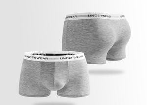 <b>Mens</b> <b>Trunk</b> Panties Classic Grey White Logo on Waist Elastic Band Underwear 91% Micro Modal 9% Spandex Boxer Brief - Product Image 1