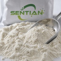 Poudre d'enzyme bêta-mannanase, extrait végétal pour l'alimentation des volailles, des porcs, des ruminants et de l'aquaculture