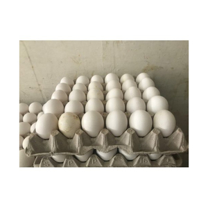 Superior quality fresh table <b>eggs</b> bulk supply poultry <b>eggs</b> export grade packing - Product Image 3