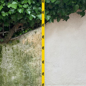 ALGAENET Eliminador Rápido de Moho y Algas, Desinfectante para Superficies Exteriores, Limpiador en Aerosol para Pisos, Patios, Piedra, Concreto, Terracota, de Acción Rápida - Product Image 3