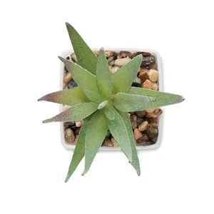 Plante artificielle personnalisée en taille mini pour la décoration de la maison - Product Image 3
