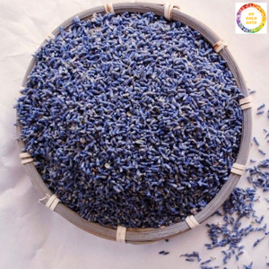 ดอกตูมลาเวนเดอร์วัสดุธรรมชาติอบแห้งกลิ่นหอมสำหรับตกแต่งห้องและงานเทศกาลจากเวียดนาม - Product Image 5