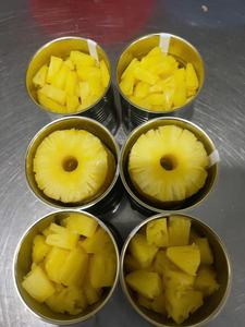 Proveedor de Rodajas de Piña Congeladas del Delta del Vientam |   Suministro de Gran Volumen - Product Image 2