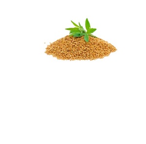 Vente en gros de graines de fenugrec | Épice pure et naturelle | Exportateur et fabricant d'Inde - Product Image 4