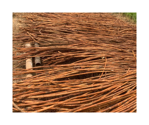 Mobilier écologique-Poteau en rotin naturel Fournisseur Vietnam-Poteau en rotin en matériau durable pour la fabrication de paniers - Product Image 1