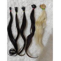 Extensions de cheveux professionnelles I Tip fabriquées à partir de cheveux humains naturels pour un look personnalisable avec une texture soyeuse sans enchevêtrement et une brillance