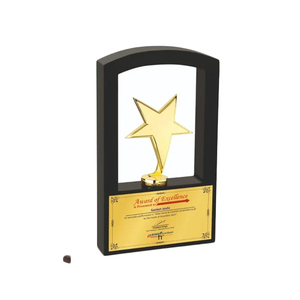 Trofeo de Metal en Forma de Estrella, Diseño Premium al por Mayor, Nuevo Trofeo para Cricket, Trofeo de la Copa de Cricket, Premio de Último Diseño - Product Image 1