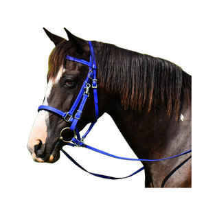 Brida de caballo de cuero inglés duradera de alta calidad tamaño personalizado Bio PVC Thane con costuras elegantes para carreras - Product Image 1