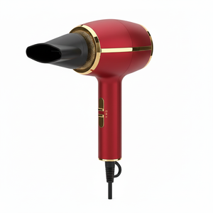 Sèche-cheveux électrique professionnel pour salon, usage hôtelier et domestique, 1500W, moteur BLDC ionique, brosse chauffante portable en plastique - Product Image 1