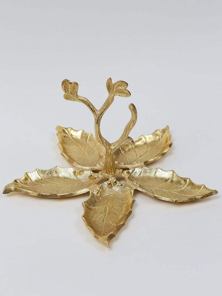 ตามที่แสดง