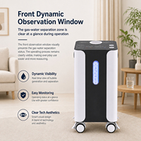 Electrolizador de Agua PEM, Generador de Hidrógeno Eléctrico de Acero Inoxidable para Spa, Cuidado Corporal Profesional, Generador de H2 para Uso Comercial, OEM