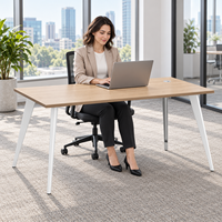 Bureaux de bureau minimalistes 1200 mm pour une personne, plateau en panneau E0, pieds en acier, vente en gros, table d'ordinateur pour la maison et le bureau, design moderne