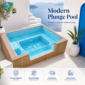 <span class=keywords><strong>Piscine</strong></span> Conteneur Maritime Personnalisée Amovible à Toit Ouvert pour Cour Extérieure, 20 et 40 Pieds, Expédition Maritime - Product Image 5